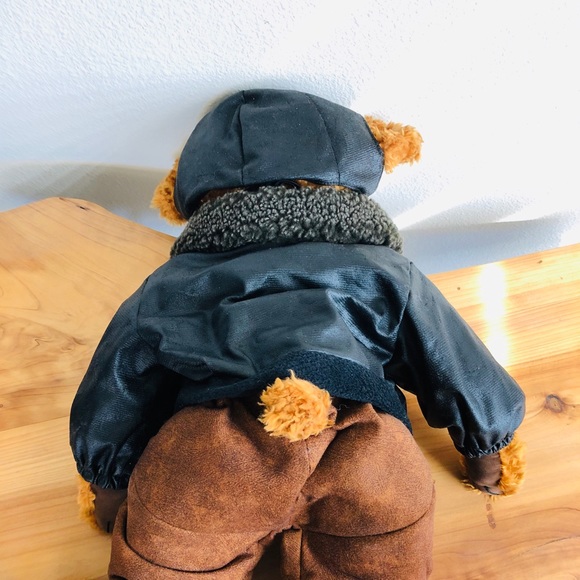 Teddy bear pilot - Picture 4 of 6